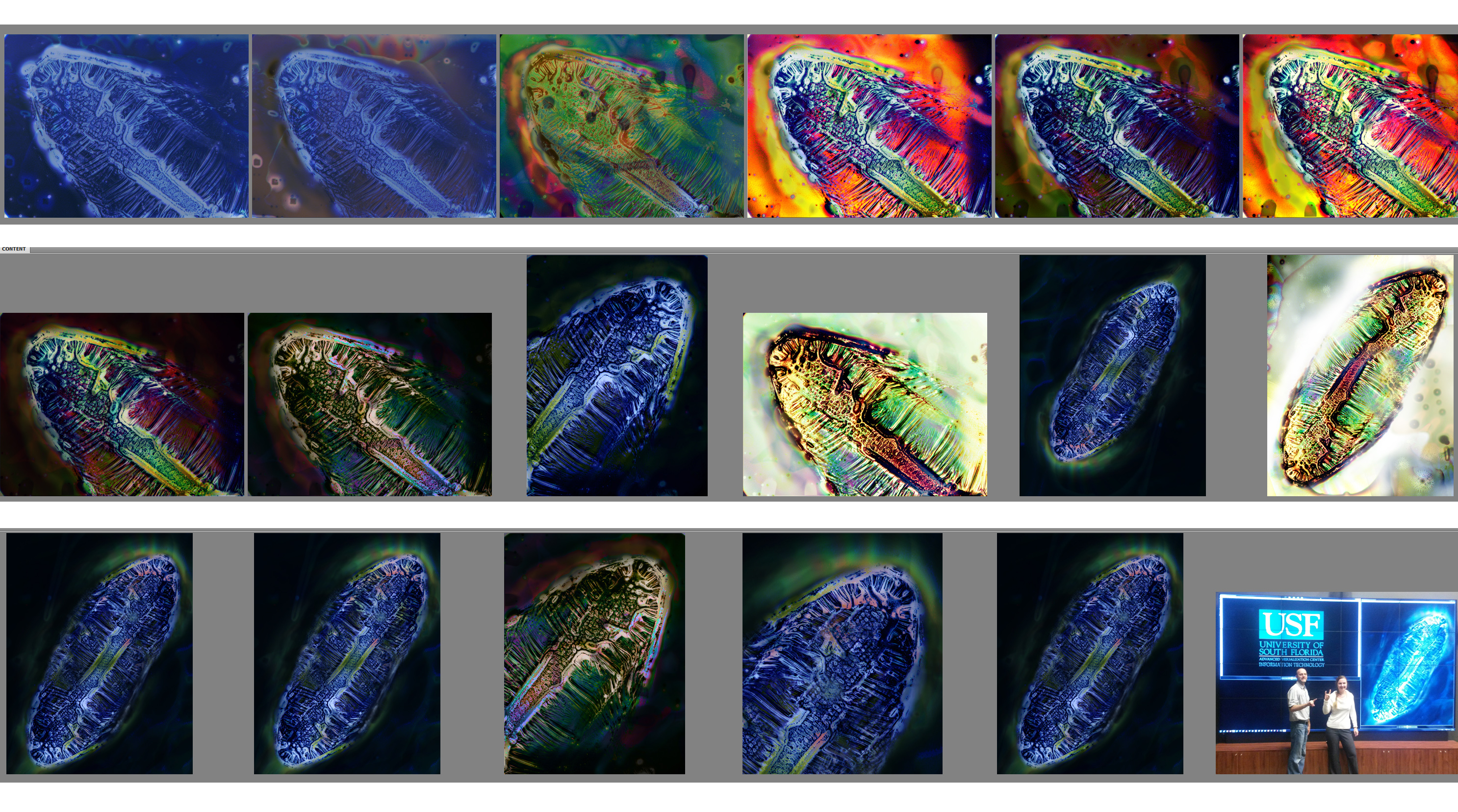 nsf Viz Challenge process image